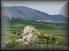 tt c061022